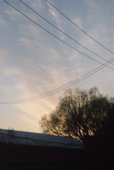 35462