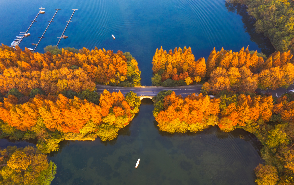 杨公堤秋色 - 东东东 - 图虫