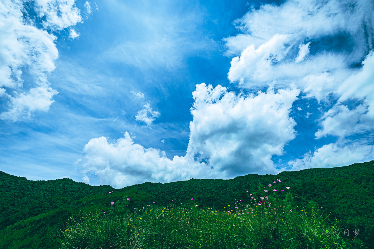 蓝天白云青山繁花
