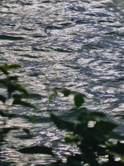 DFD34E10-6CA3-41FA-916D-75BFC691A04A/L0/001