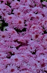 8803374F-E0B5-408A-AAAC-D9C6169CA5C1/L0/001