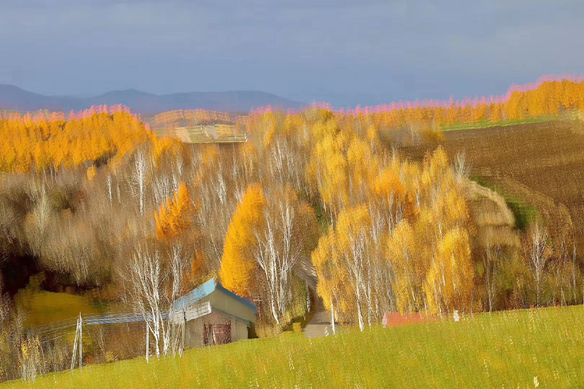 树树皆秋色 ,山坡上坐落的房屋