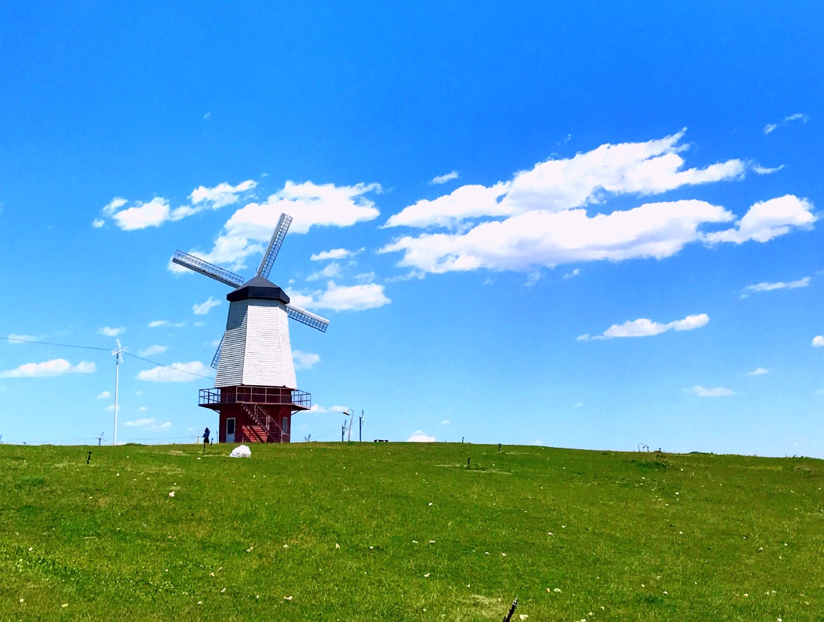 晴空万里等风来