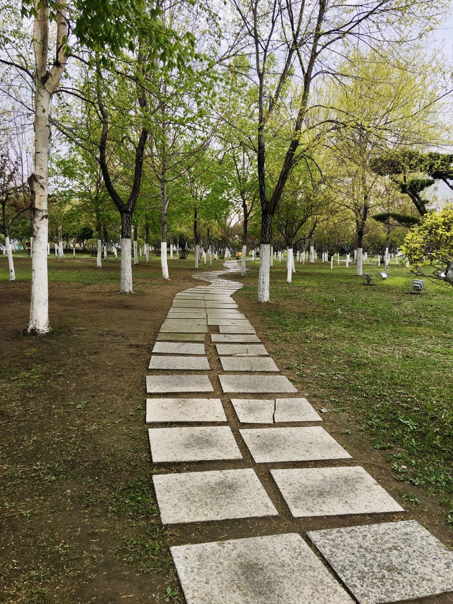 小雨的早上弯弯的石板路蜿蜒曲折