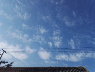1300287