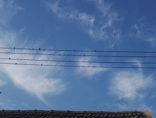 1300283
