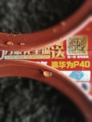 2276530