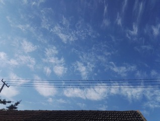 1300291