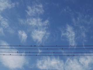 1300290