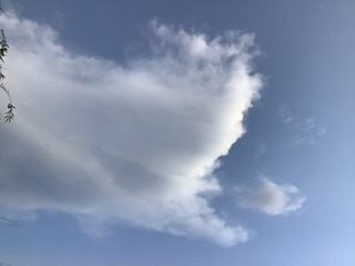86FF0362-B7EC-4FF9-A057-84D42426AC02/L0/001