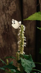 F00E5179-F9F3-4177-9534-7B80EBC389CD/L0/001