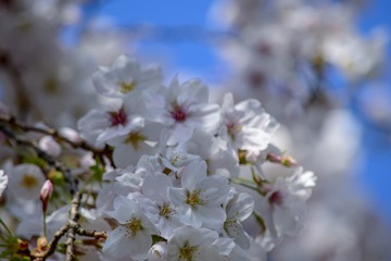 1C623B53-C1FB-47C8-B0B1-F106F08F90BF/L0/001