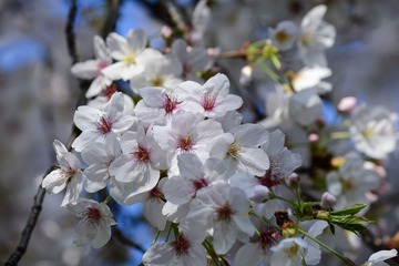 0B603C7B-2AB6-4B4F-BA50-424A53BED517/L0/001