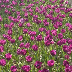 18D0AB70-9B13-47B4-B6C8-1B262EE44B86/L0/001