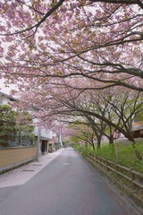 64125BD7-B419-4F5E-9C29-8EC45385DD34/L0/001