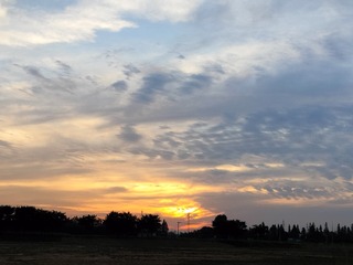 1000035432