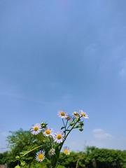 1000036072