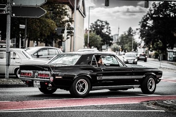IMG_3020-5