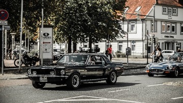 IMG_3025-7