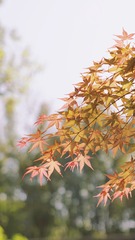 E99A0E82-938B-4E32-B058-2473DAFCD208/L0/001