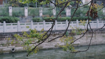 2C41AC28-8AC3-41E2-958A-60870BF460B8/L0/001