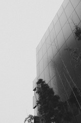 C7944502-119B-4A0B-BC7C-393E5798DE53/L0/001