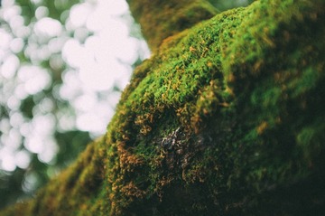 365F0B07-AB56-4F26-8FA4-738F2D023A95/L0/001