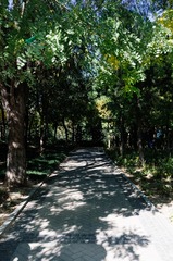 4DD83A01-BB2B-4801-A55E-07D1207366CA/L0/001