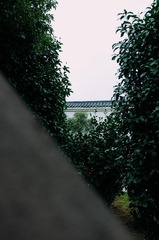 6376200A-FFDE-4C63-AB1C-06197662EF4E/L0/001