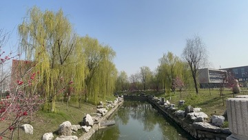 ED638DD6-C569-44C5-AD5C-9539789FD0B1/L0/001