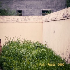 5837D793-E0E5-4860-9CB4-845C359FA07D/L0/001