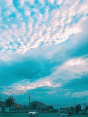50D4B31D-A071-4540-B768-BC74C75170A1/L0/001