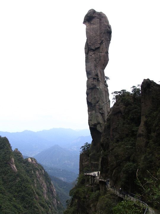 巨蟒出山<br />
