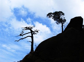 生死恋