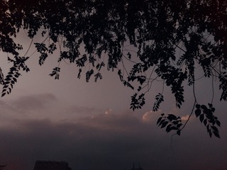 97
