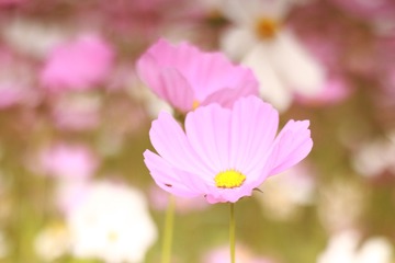 D10B29F4-B134-4C40-9975-A05D30556E33