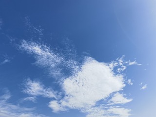 54636