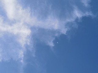 54333