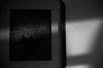 IMG-9000ED-112921