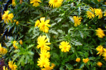 F603BED7-34FB-4B56-A62A-F2E0FA2C3618/L0/001