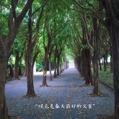 73562101-3C1B-4A7E-881C-2D5FB36A49D5/L0/001