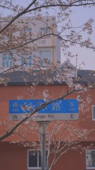 E027B588-624B-4B0E-A799-63955BCE0F32/L0/001