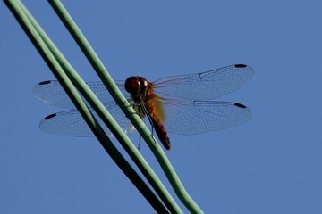 AFDC4CE5-888C-41AF-B0F9-B89F2E7DB0F0/L0/001