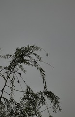 BE729508-B56F-4A70-A756-A7CC258C7FE1/L0/001