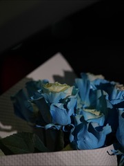 1F97630B-BB9D-42E3-94B9-205C48F4BF29/L0/001