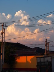 1000037134