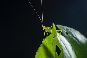 7104720B-9F0E-4AA1-BB19-BA4EE33EF9B6/L0/001
