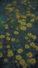 0C70397F-3453-47F5-B11F-EA30DBC25FC0/L0/001