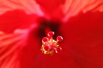E1EB51D7-D9F7-4822-9009-624A9ED84CA2/L0/001