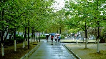 AECC9BB0-6FC4-4A2A-99B6-373B6FC9B72F/L0/001